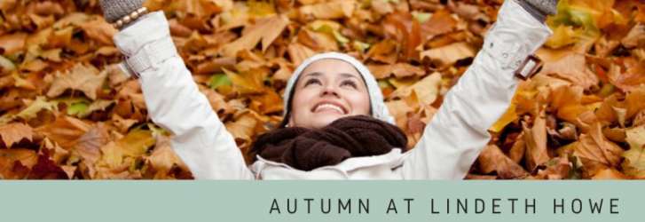 Autumn fb header