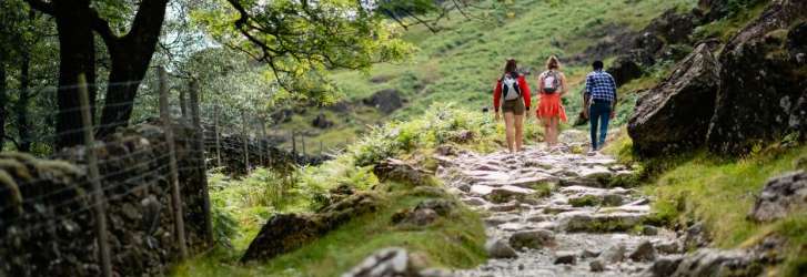 Walking Break