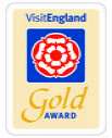 rsz gold award 002